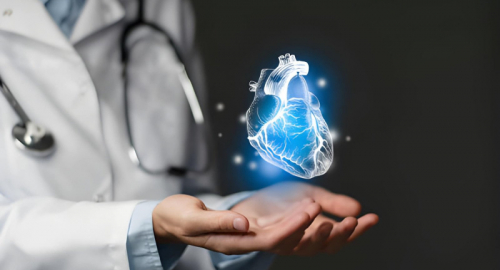 Tumori e cuore, inquinanti nel grasso cardiaco sotto osservazione
